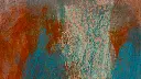 20221028-_DSC7176.webp