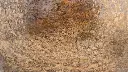 20221028-_DSC7207.webp