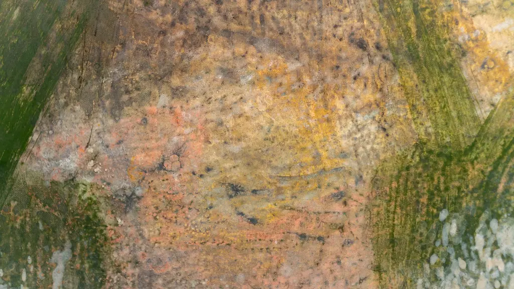 20221028-_DSC7212.webp