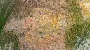 20221028-_DSC7212.webp