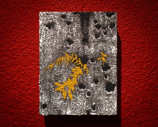 some things are healing,  some things are becoming (3) 